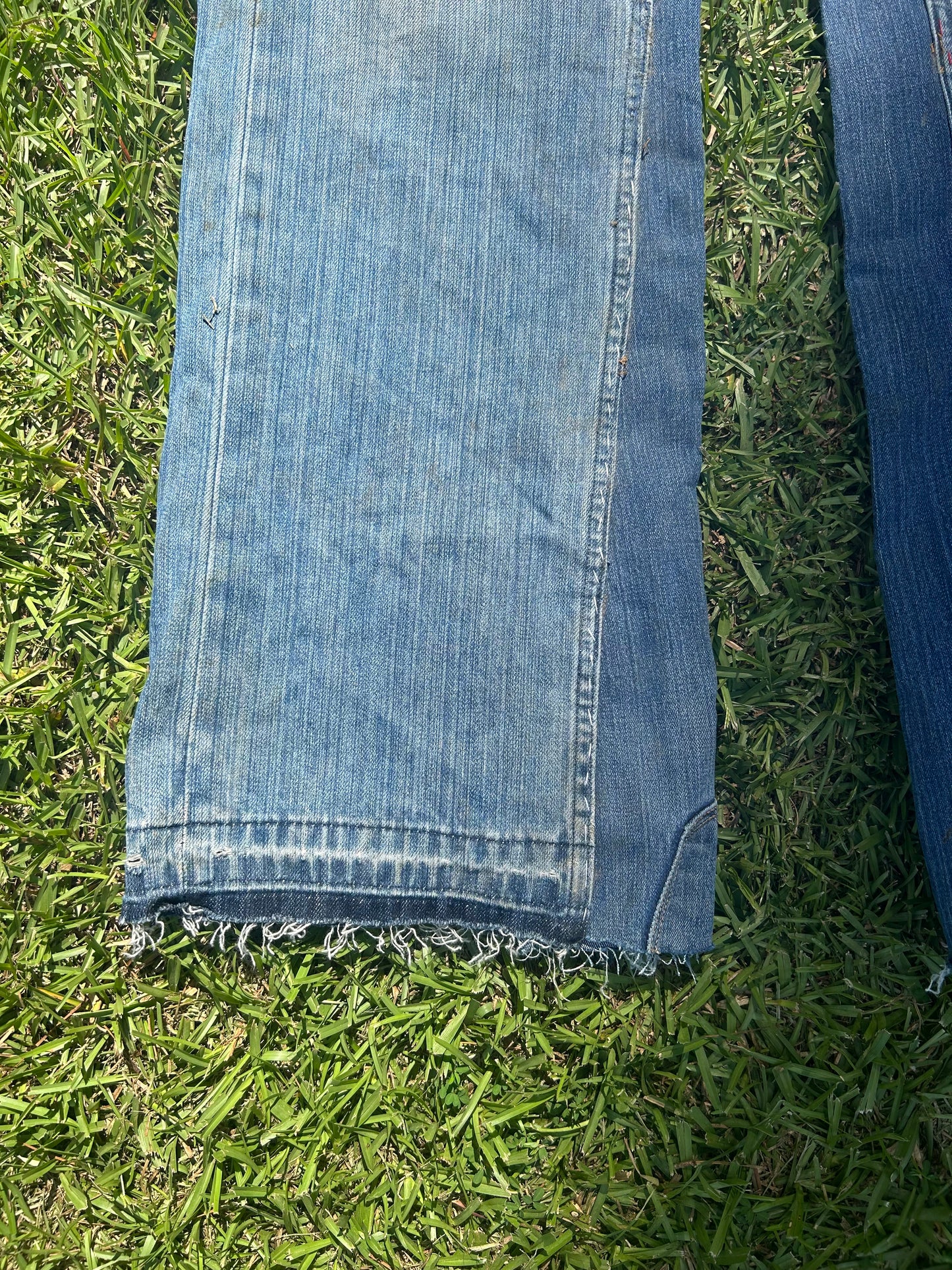 V1-JEANS